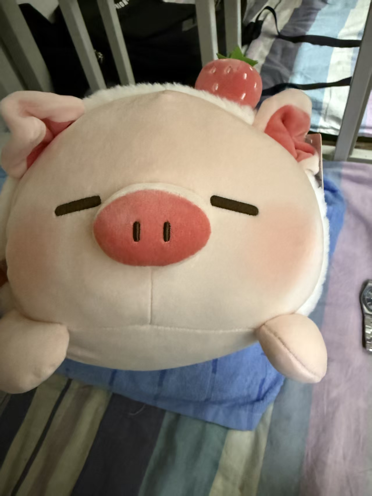 情侣照片
